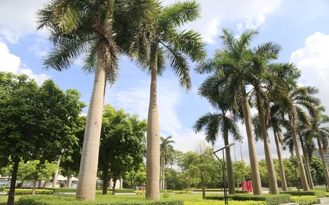 哈尔滨工业大学(深圳)·校园