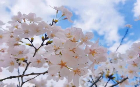 合肥城市学院·校园风光