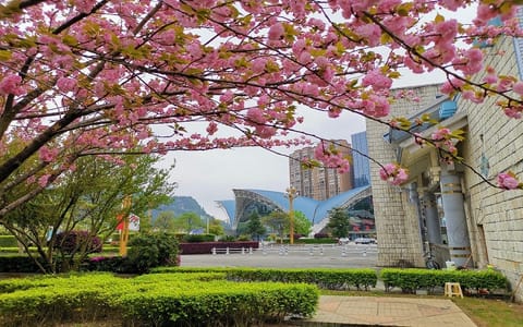 黔南民族师范学院·校园风光
