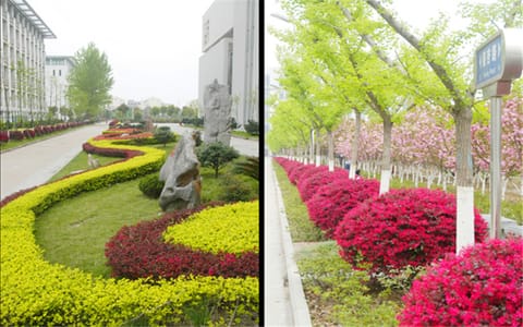 合肥师范学院·校园风光