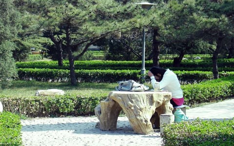 河北经贸大学·校园景观05