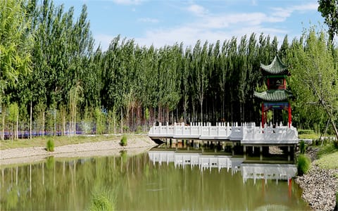 齐齐哈尔医学院·校园风光3