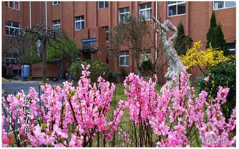 青岛理工大学·校园风光1