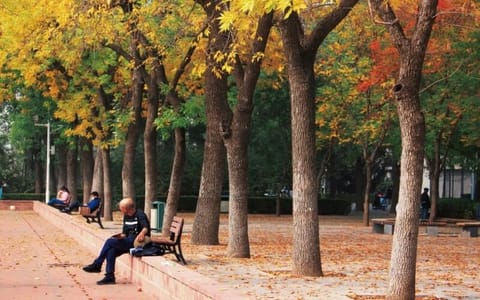 北京语言大学·一角