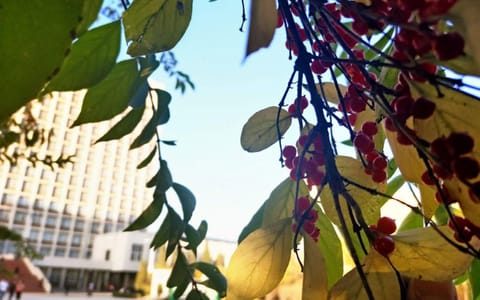 山西财经大学·窥见财大