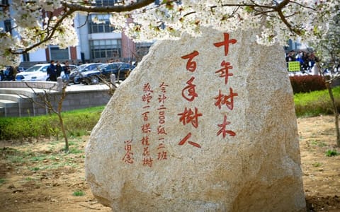 青岛农业大学·石