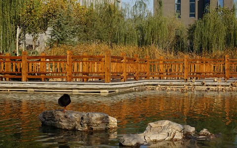河北师范大学·憩