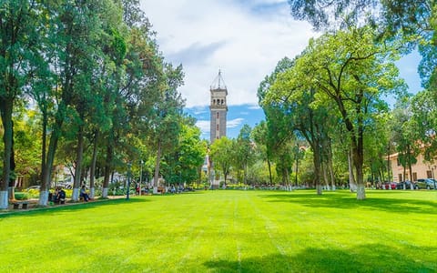 云南大学·校园风光