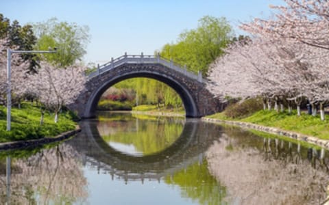 中国药科大学·校园风光