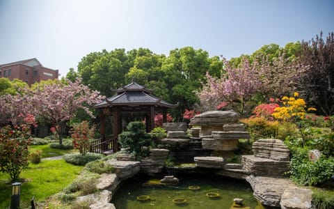 上海杉达学院·校园风光