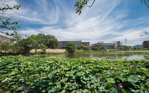 信阳学院·13绿水蓝天