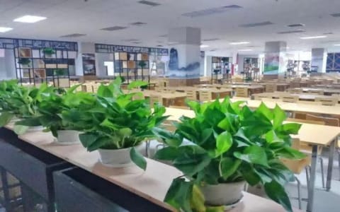 河海大学·校园风光