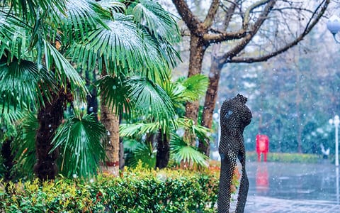 郑州美术学院·静谧校园2