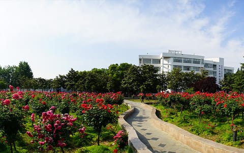 南阳理工学院·月季园景观