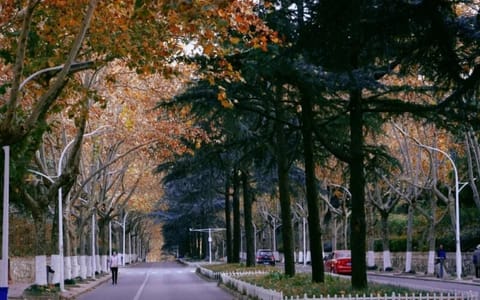 中国矿业大学徐海学院·深秋