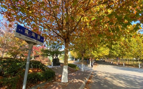青岛黄海学院·校园风光