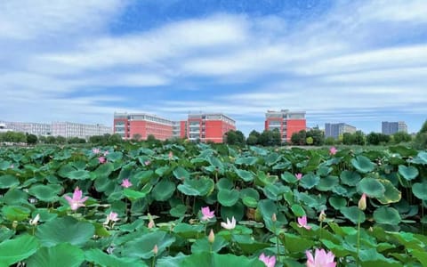 天津仁爱学院·校园风光