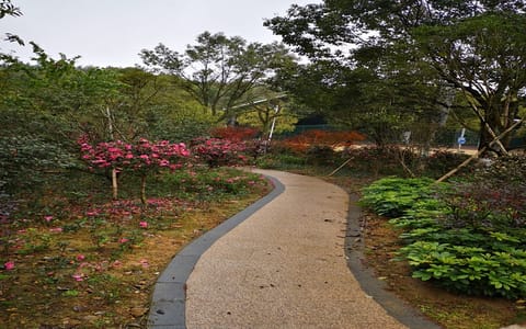三明学院·校园风光1