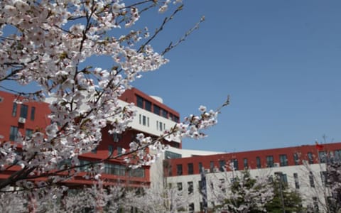 青岛电影学院▲·校园风光