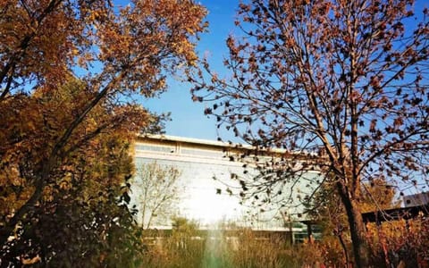 山西财经大学·财大之秋