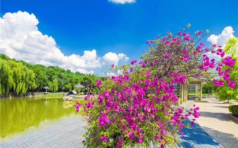 攀枝花学院·花湖春韵