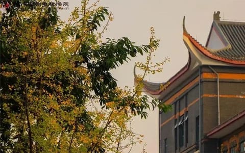 四川电影电视学院（成都）·校园风光
