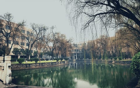 洛阳理工学院·桥