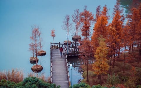 福建农林大学·校园风光