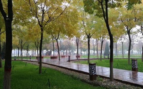 宁夏医科大学·德林