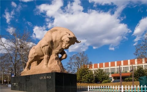 中国政法大学·拓荒牛
