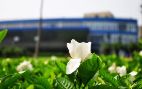 东华大学·校园风光4