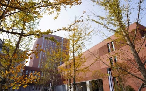 山东工艺美术学院·校园风光