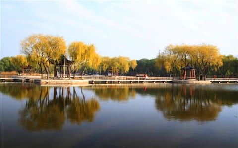 宁夏大学·校园风光