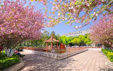 云南经济管理学院·校园美景