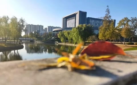 盐城师范学院·秋色