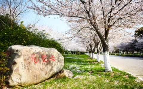 中国药科大学·校园风光