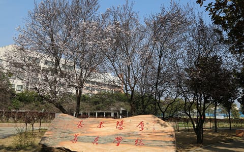 南阳理工学院·校训石