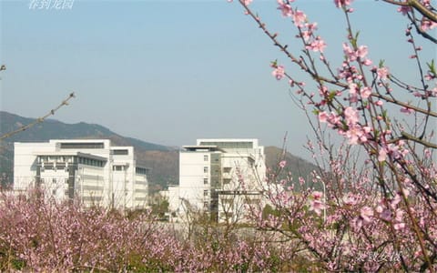 安庆师范大学·春