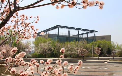 吉林大学·校园景色
