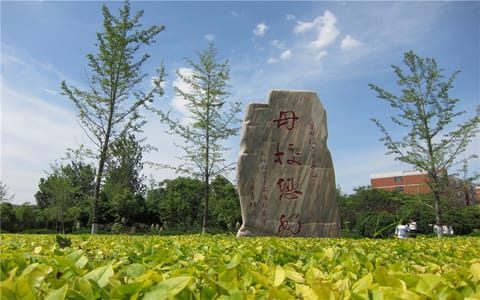 河南科技学院·校园一角3