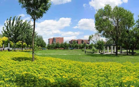 天津理工大学·沉降广场