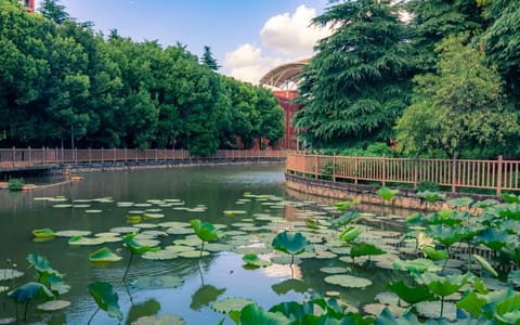 上海杉达学院·校园风光