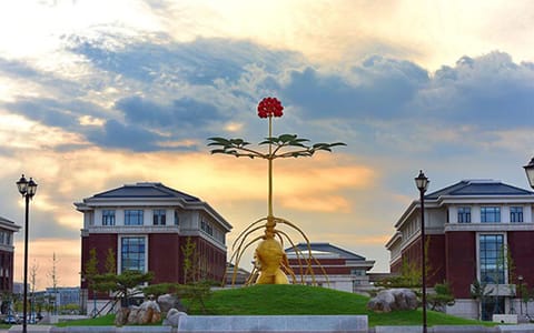 天津中医药大学·魅力天中5
