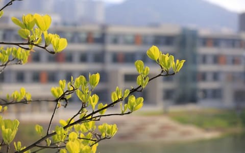 大连理工大学·_20240422092630