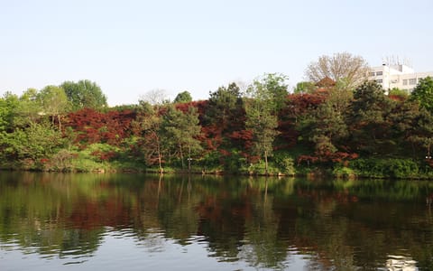 信阳师范大学（原信阳师范学院）·校园风光