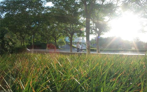 河南城建学院·阳光