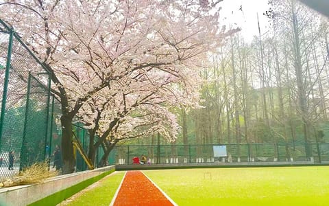 信阳师范大学（原信阳师范学院）·校园风光
