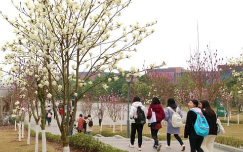 长江师范学院·校园