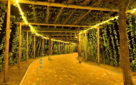 吉林师范大学博达学院·校园风光