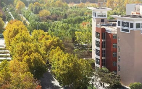 中原工学院·校园风光